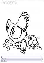 coloriage-poule-2